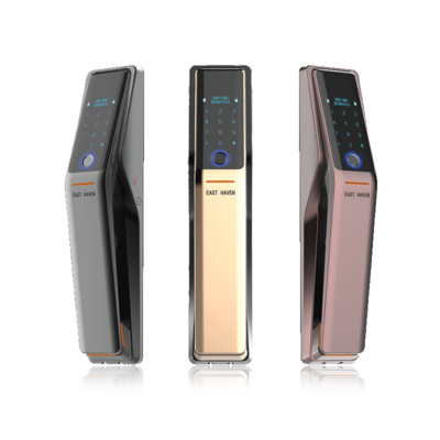 Fully automatic fingerprint password lock
