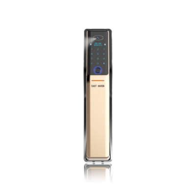 Fully Automatic Two-way Remote Video Intelligent Lock